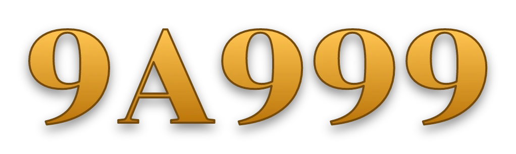 9A999 logo